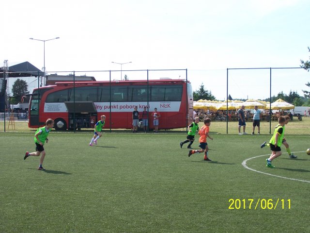 gwiazdy 7